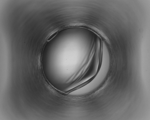 X0000113320889200909281205