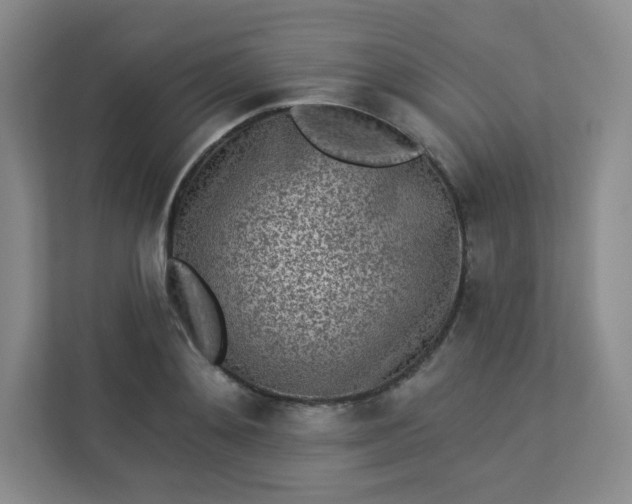 X0000113320892200909281205