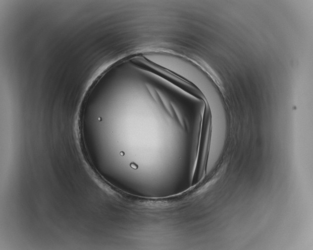 X0000113320893200909281205