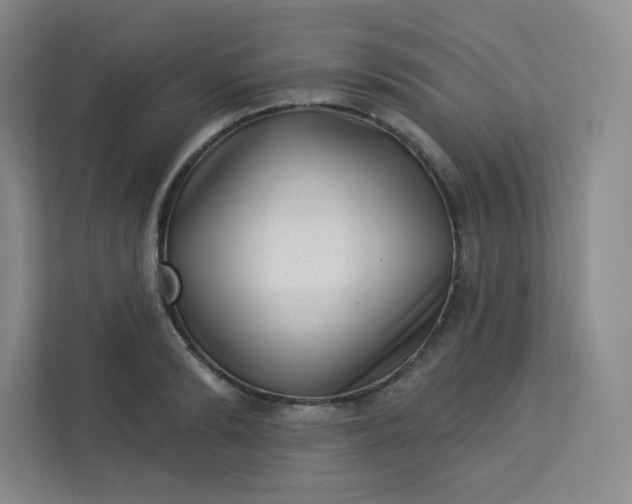 X0000113320894200909281205