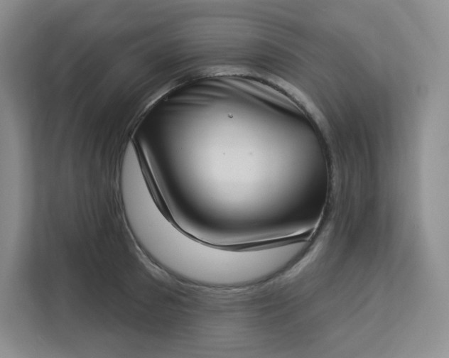 X0000113320897200909281205