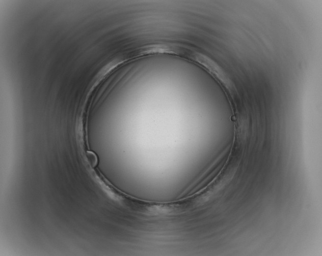 X0000113320898200909281205