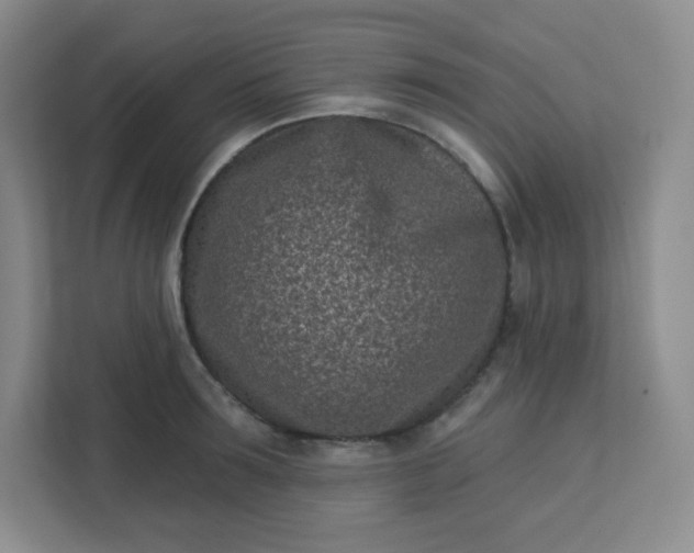 X0000113320899200909281205