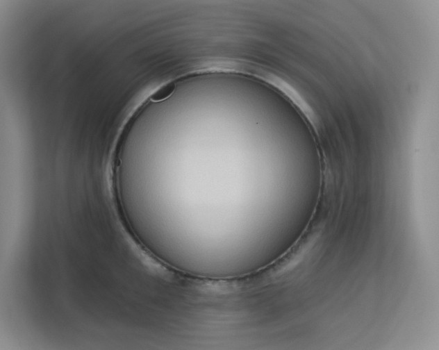 X0000113320901200909281205