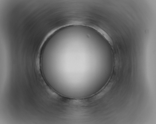 X0000113320904200909281205