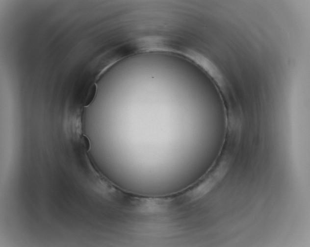 X0000113320905200909281205