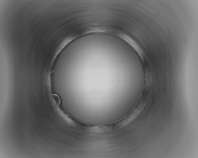 X0000113320906200909281205