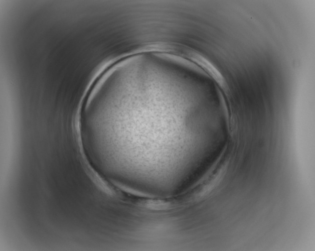 X0000113320907200909281205