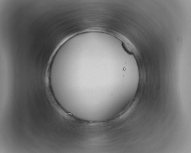 X0000113320908200909281205