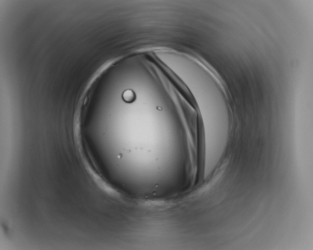 X0000113320909200909281205