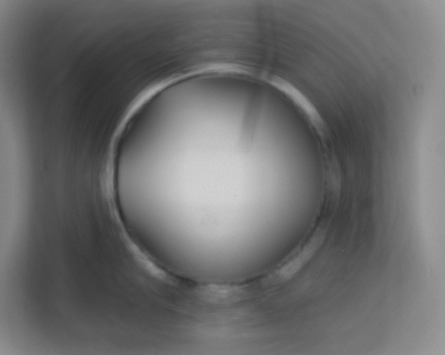 X0000113320910200909281205