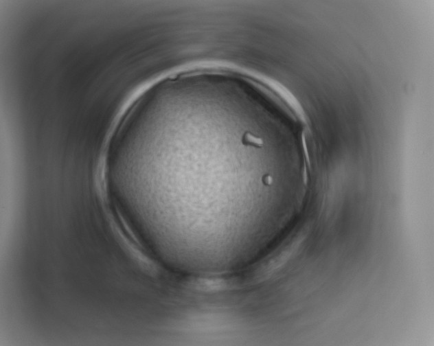 X0000113320911200909281205