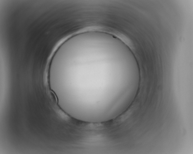 X0000113320912200909281205