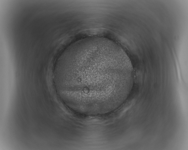 X0000113320913200909281204