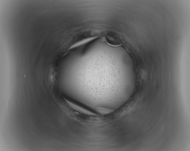 X0000113320914200909281204