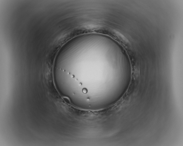 X0000113320917200909281204