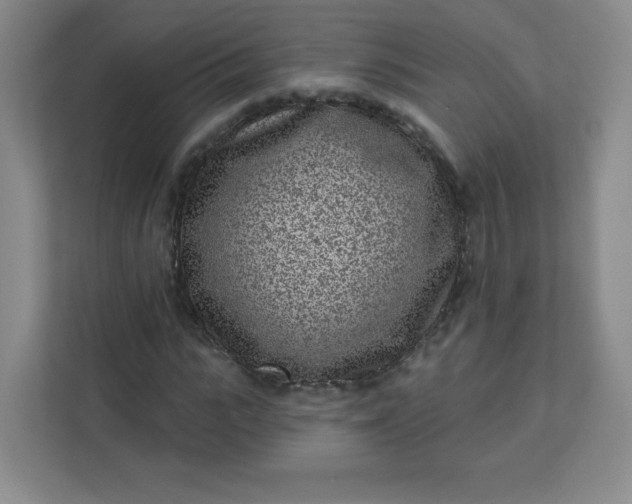 X0000113320919200909281204