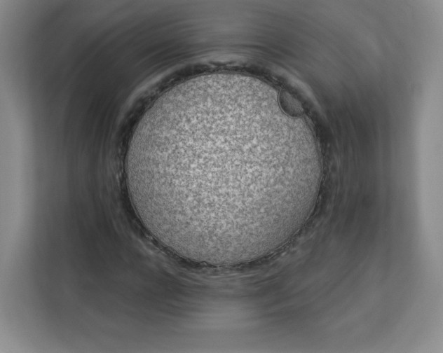 X0000113320920200909281204