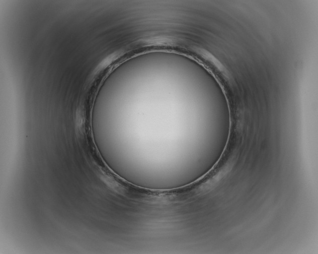 X0000113320922200909281204