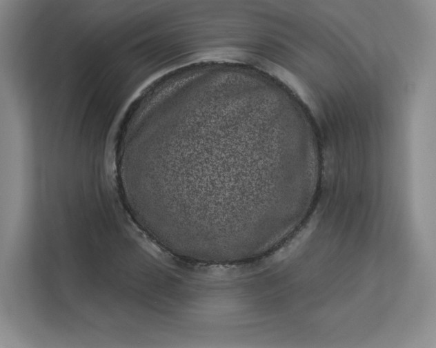 X0000113320923200909281204