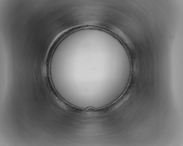 X0000113320924200909281204