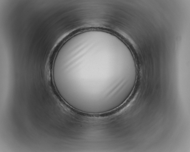 X0000113320925200909281204