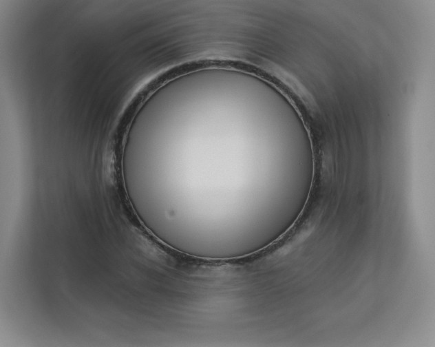 X0000113320926200909281204