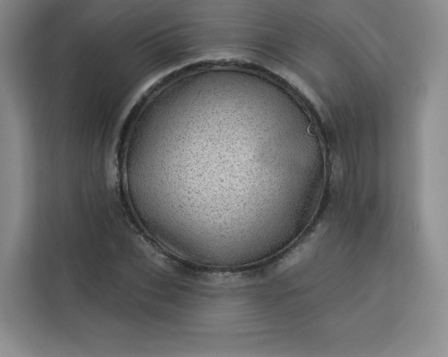 X0000113320927200909281204