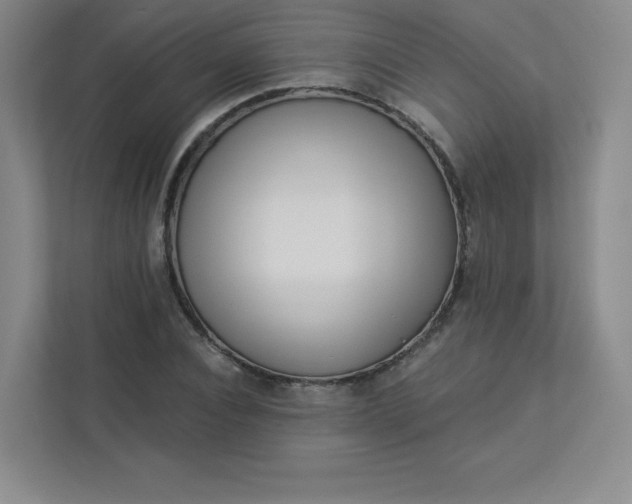 X0000113320928200909281204