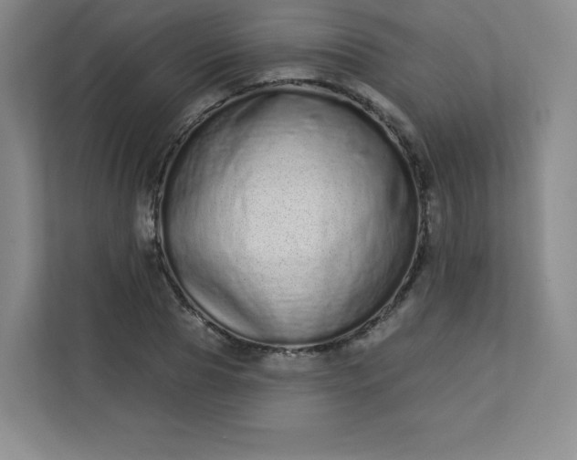 X0000113320929200909281204