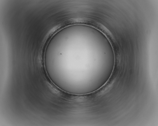 X0000113320930200909281204