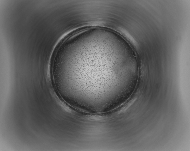 X0000113320932200909281204