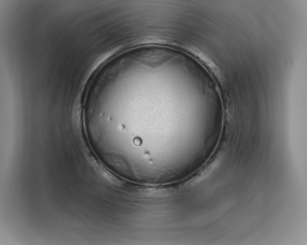 X0000113320933200909281204