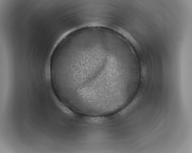 X0000113320934200909281204