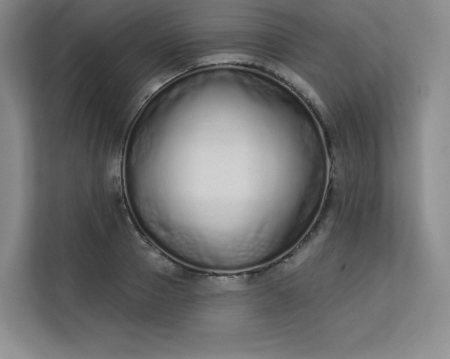 X0000113320937200909281204