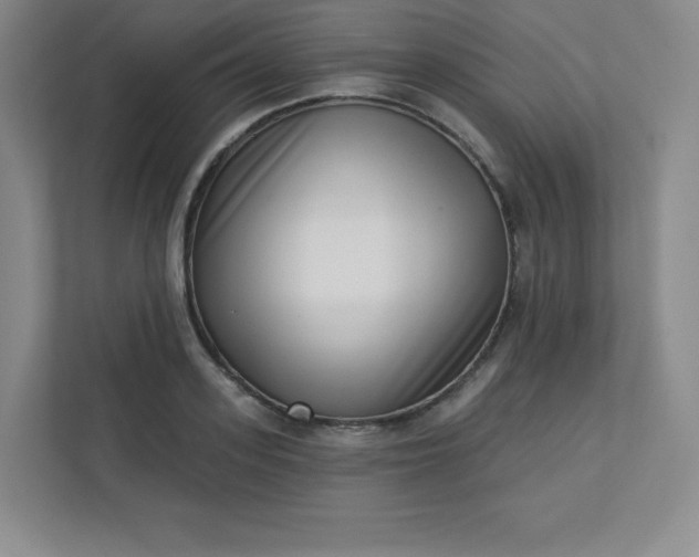 X0000113320939200909281204