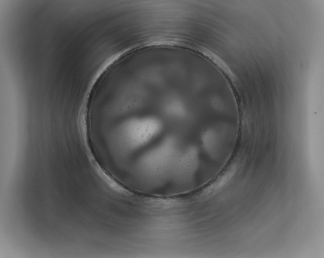 X0000113320941200909281204