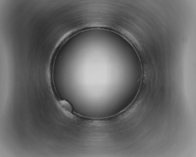 X0000113320942200909281204