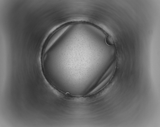 X0000113320943200909281204