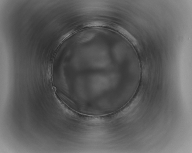 X0000113320945200909281204