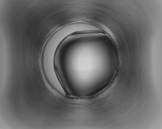 X0000113320946200909281204