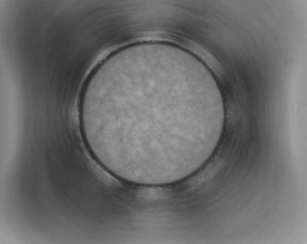 X0000113320950200909281205