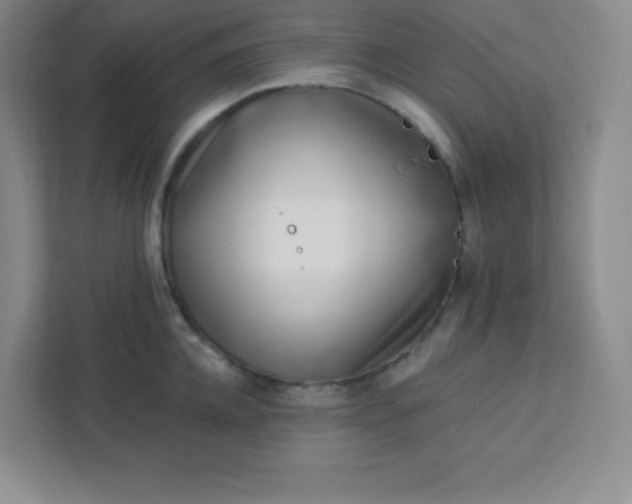 X0000113320952200909281205