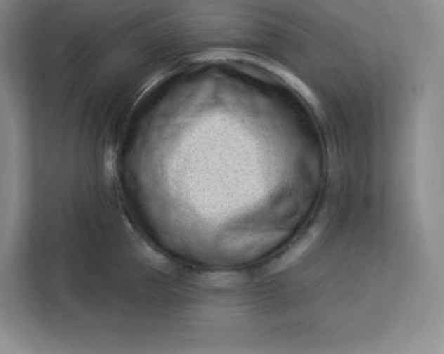 X0000113320953200909281205