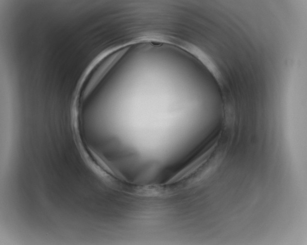 X0000113320955200909281205