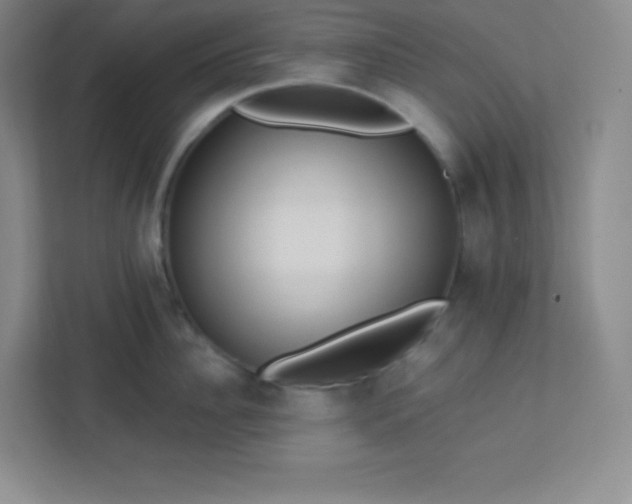 X0000113320956200909281205