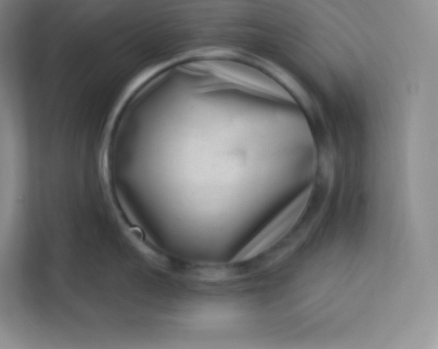 X0000113320959200909281205