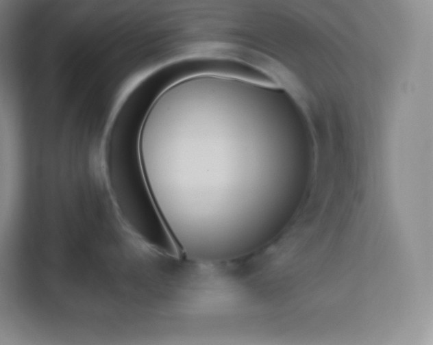 X0000113320960200909281205