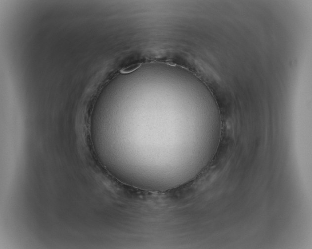 X0000113320961200909281204