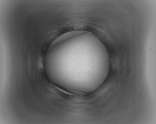 X0000113320962200909281204